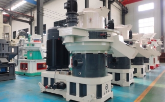 鋸末顆粒機生物質顆粒，將會改變普通人民的生活！