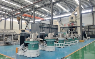 木屑顆粒機節(jié)能減排效果評估